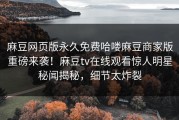麻豆网页版永久免费哈喽麻豆商家版重磅来袭！麻豆tv在线观看惊人明星秘闻揭秘，细节太炸裂