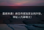 震撼来袭！麻豆传媒独家全网炸裂，神秘人内幕曝光！