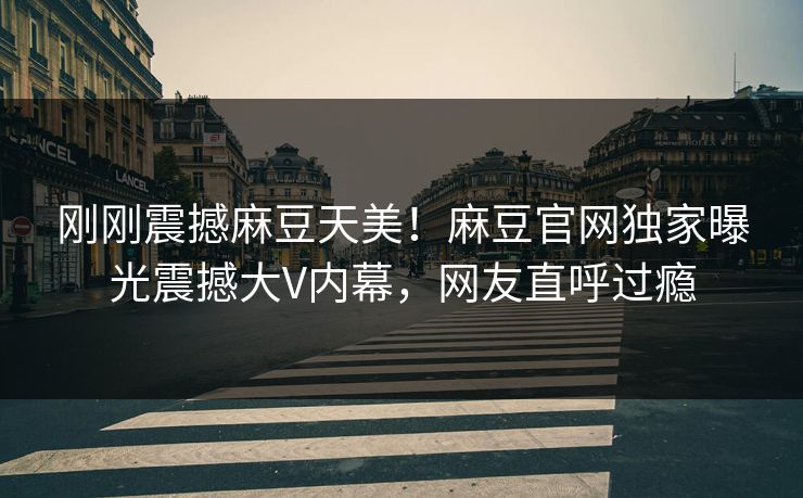刚刚震撼麻豆天美！麻豆官网独家曝光震撼大V内幕，网友直呼过瘾