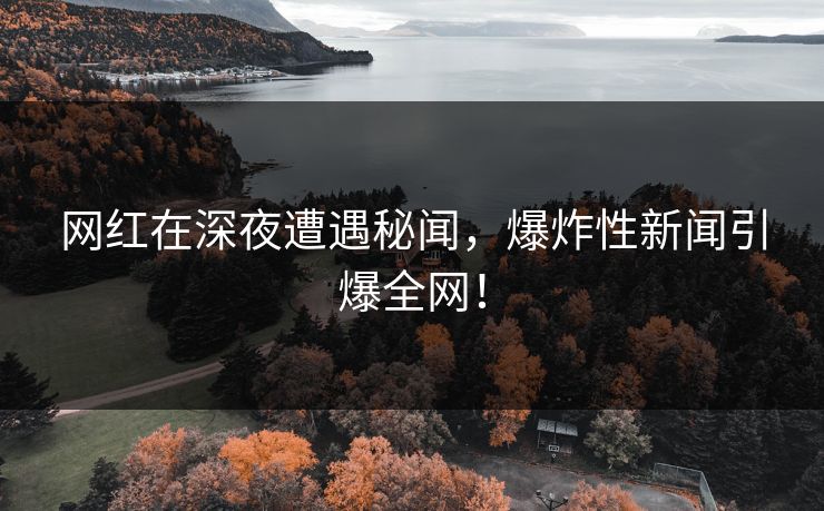 网红在深夜遭遇秘闻，爆炸性新闻引爆全网！