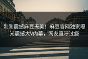 刚刚震撼麻豆天美！麻豆官网独家曝光震撼大V内幕，网友直呼过瘾