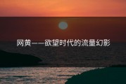 网黄——欲望时代的流量幻影