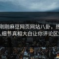 网曝刚刚麻豆网页网站八卦，热门当事人细节真相大白让你评论区炸了