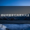 揭秘明星背后的黑料风波