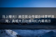 马上曝光！麻豆影业传媒在线震撼游戏，真相大白劲爆网红内幕揭示
