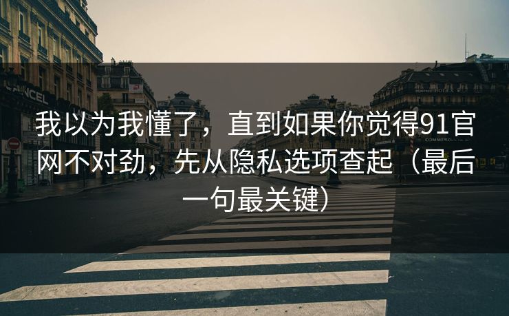 我以为我懂了，直到如果你觉得91官网不对劲，先从隐私选项查起（最后一句最关键）